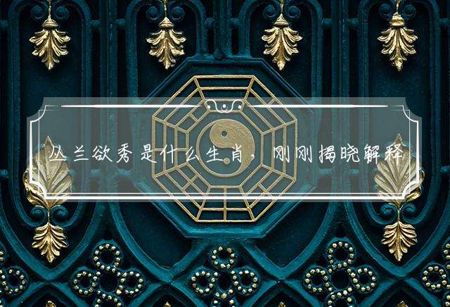丛兰欲秀是什么生肖,刚刚揭晓解释落实