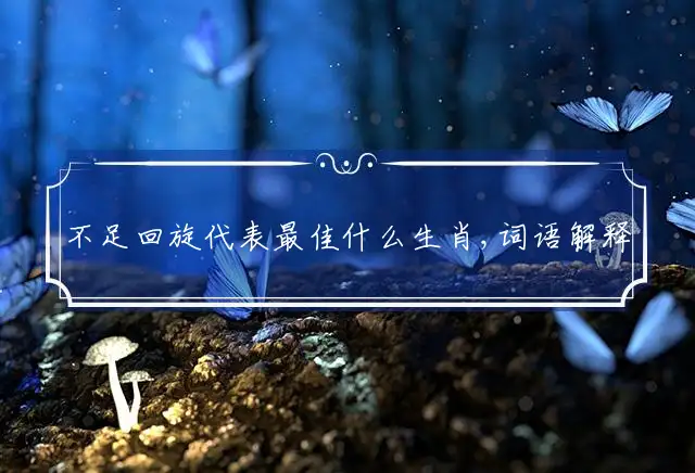 不足回旋是什么生肖