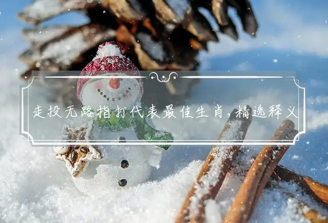 走投无路指打代表最佳生肖,精选释义词语解释