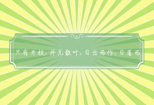 只有开枝,并无散叶,日出而作,日落而息是什么生肖