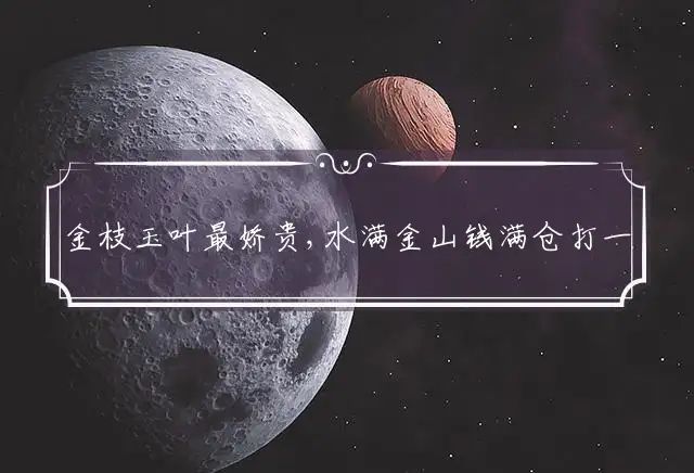 金枝玉叶最娇贵,水满金山钱满仓打一个最佳生肖词语解谜, 释义谜题解释