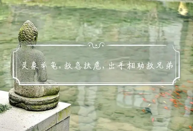 灵象举龟,救急扶危,出手相助救兄弟,互相扶持,不分大细,行侠仗义最可贵打一最佳生肖详细解释落实