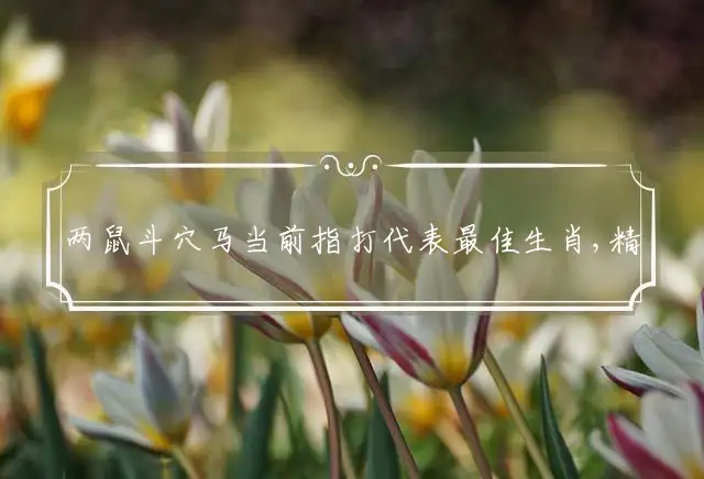 两鼠斗穴马当前是什么生肖