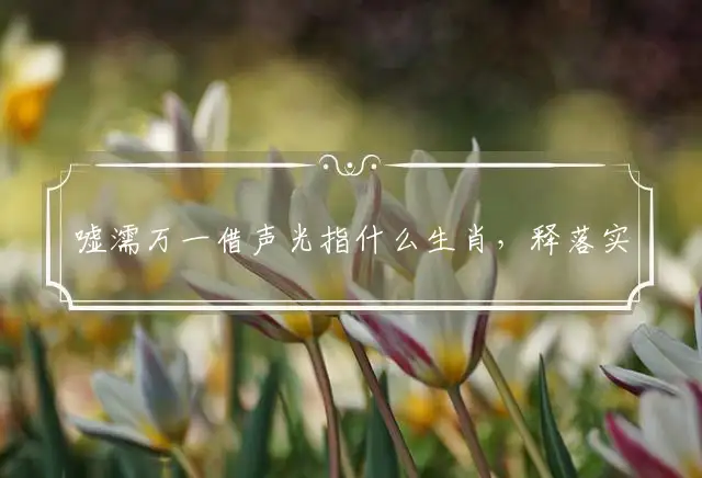 嘘濡万一借声光指什么生肖,释落实释义