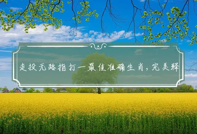走投无路指打一最佳准确生肖,完美释义词语解释