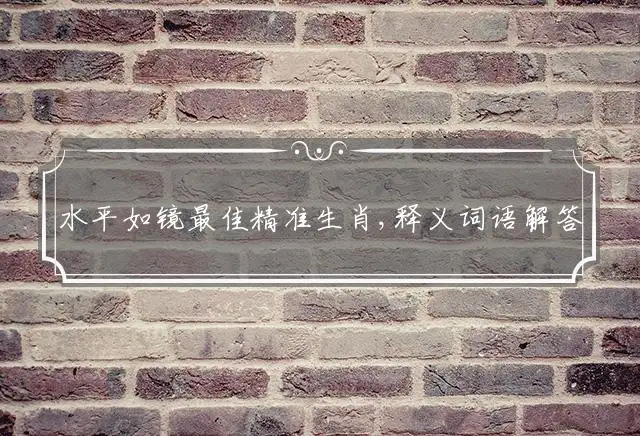 水平如镜最佳精准生肖,释义词语解答解释