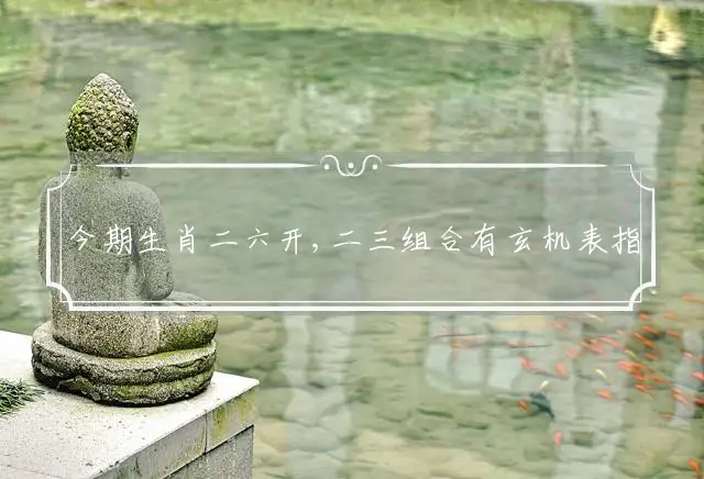 今期生肖二六开,二三组合有玄机表指最佳精准生肖,优先谜语剖析解释