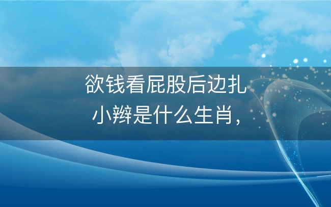欲钱看屁股后边扎小辫是什么生肖,词语含义完美阐述解释落实
