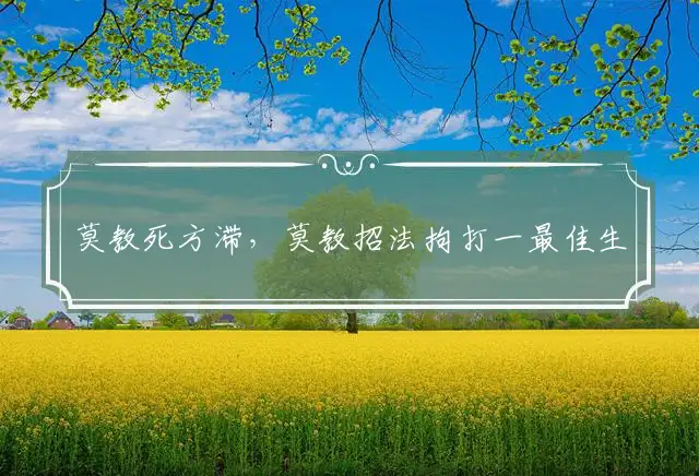 莫教死方滞,莫教招法拘打一最佳生肖,词语解释释义落实
