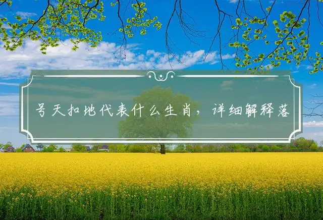 号天扣地代表什么生肖,详细解释落实