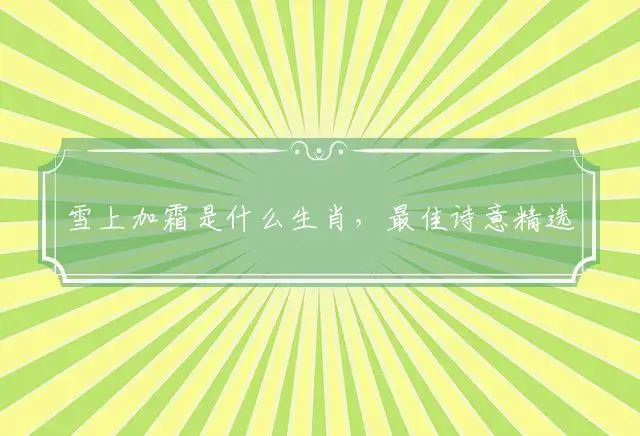 雪上加霜是什么生肖,最佳诗意精选作答解析