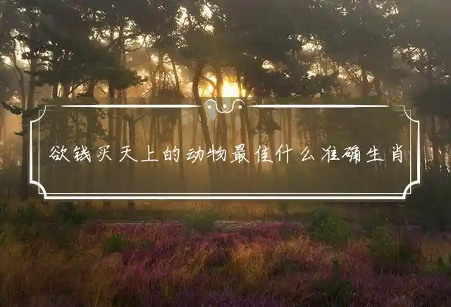 欲钱买天上的动物是什么生肖