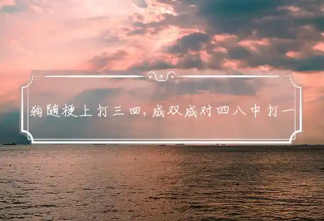 狗随梗上打三回,成双成对四八中是什么生肖