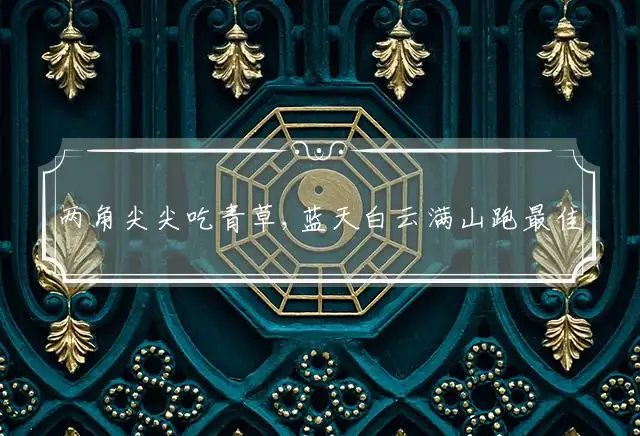 两角尖尖吃青草,蓝天白云满山跑是什么生肖