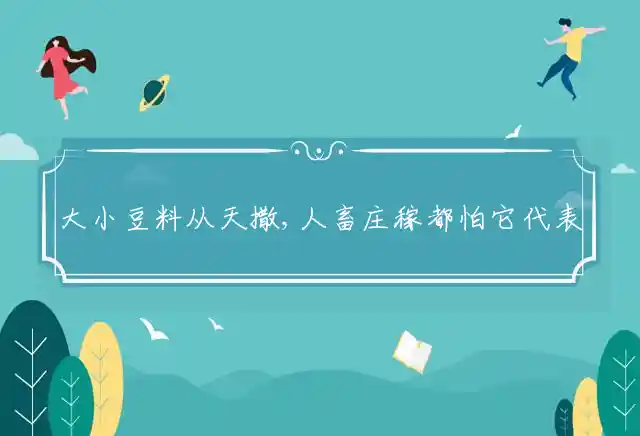 大小豆料从天撒,人畜庄稼都怕它是什么生肖