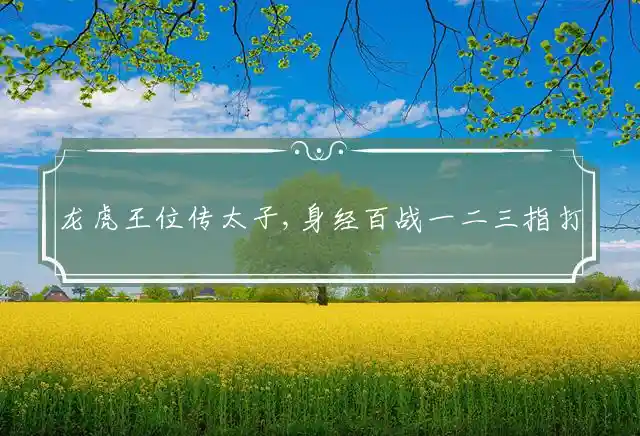 龙虎王位传太子,身经百战一二三是什么生肖