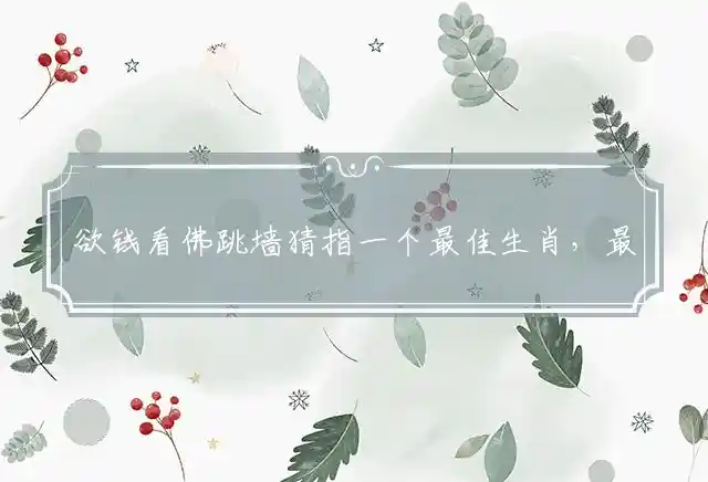 欲钱看佛跳墙是什么生肖