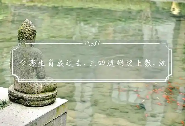 今期生肖成过去,三四连码奖上数,放胆奖二四一爆,小鸡在前老鸡后是什么生肖