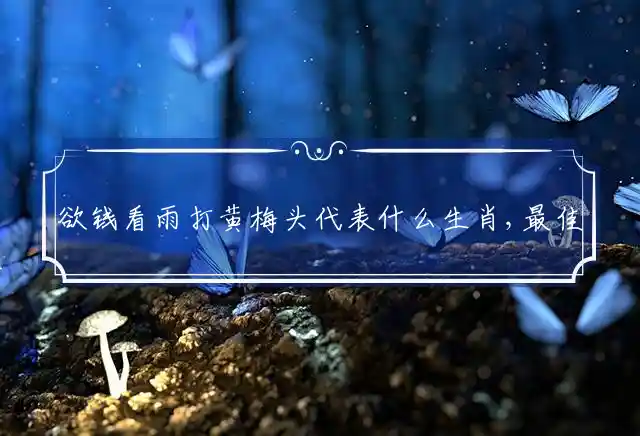 欲钱看雨打黄梅头是什么生肖