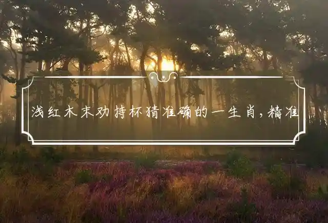 浅红木末劝持杯是什么生肖