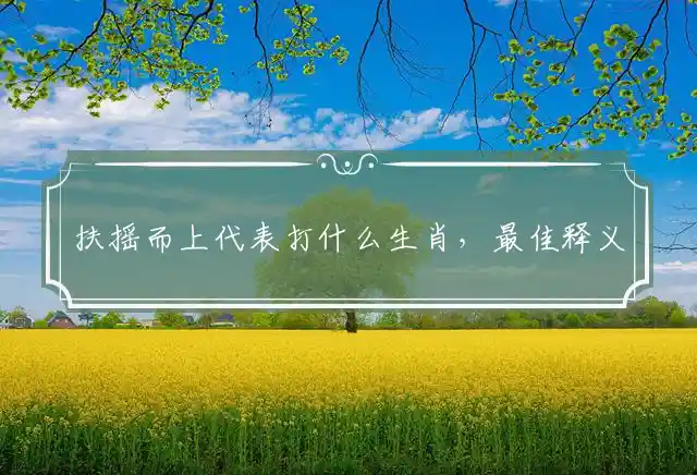 扶摇而上是什么生肖