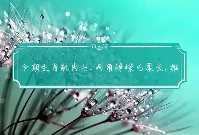 今期生肖肌肉壮,两角峥嵘毛柔长,推大测单猜结果,四五游出六归来是什么生肖