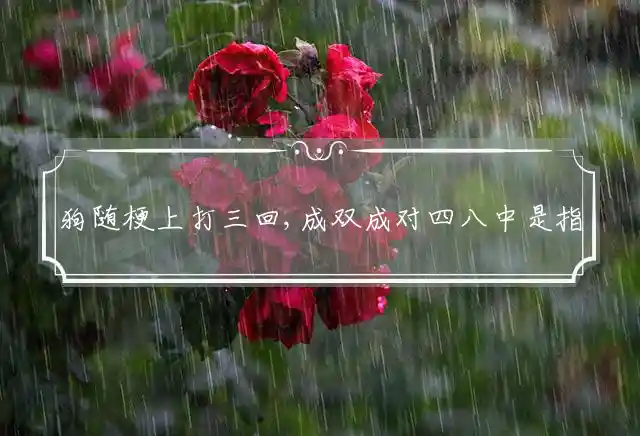 狗随梗上打三回,成双成对四八中是什么生肖