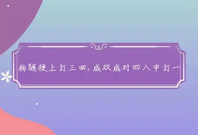 狗随梗上打三回,成双成对四八中是什么生肖