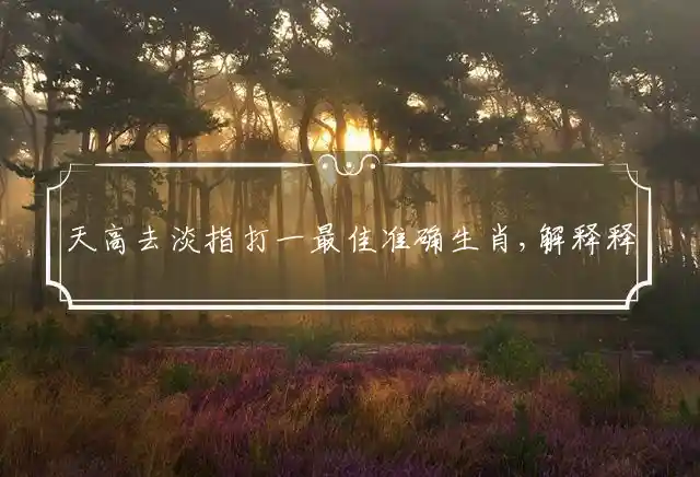 天高去淡是什么生肖