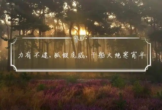 力有不逮,狐假虎威,干船火绝寒宵半是什么生肖