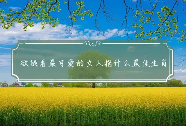 欲钱看最可爱的女人是什么生肖