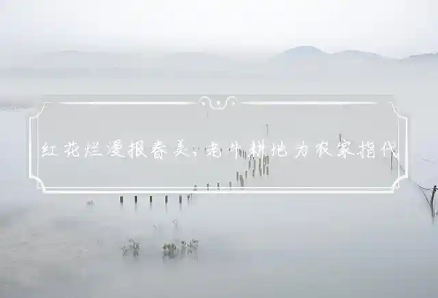 红花烂漫报春美,老牛耕地为农家是什么生肖