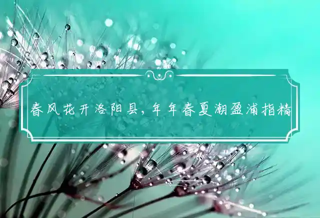 春风花开洛阳县,年年春夏潮盈浦是什么生肖