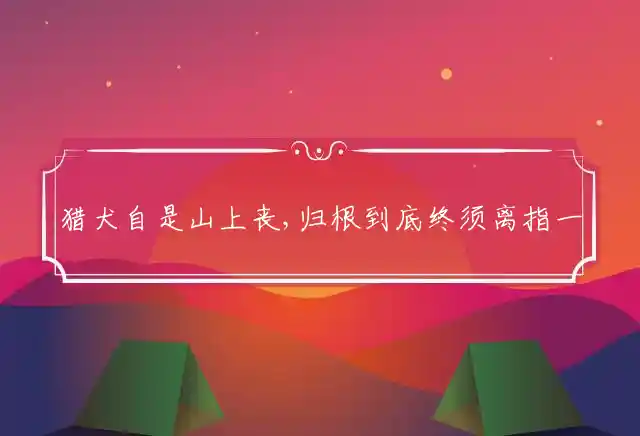 猎犬自是山上丧,归根到底终须离是什么生肖