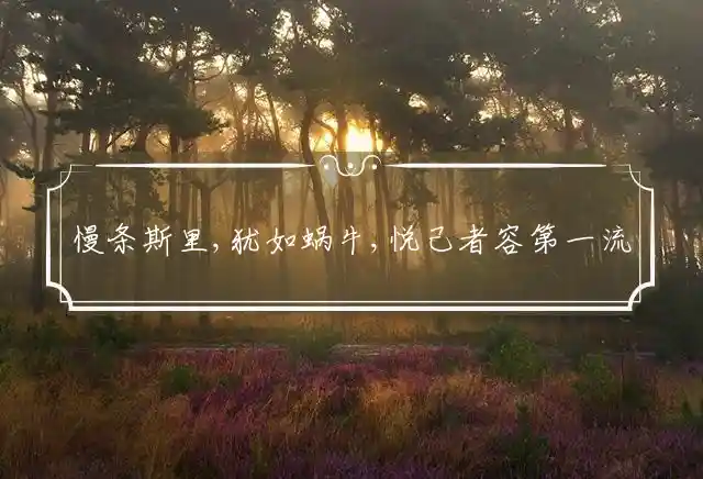 慢条斯里,犹如蜗牛,悦己者容第一流是什么生肖