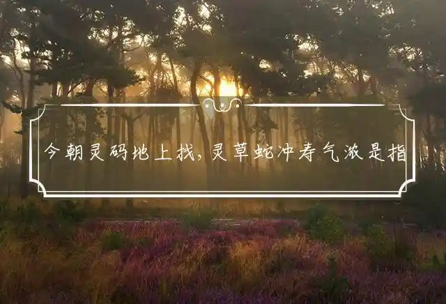 今朝灵码地上找,灵草蛇冲寿气浓是什么生肖