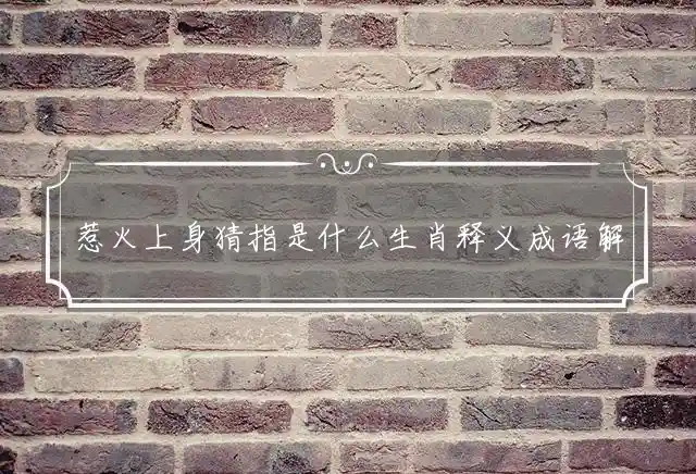 惹火上身是什么生肖