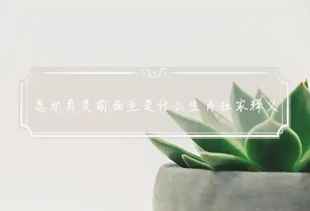 忽尔真灵前面至是什么生肖