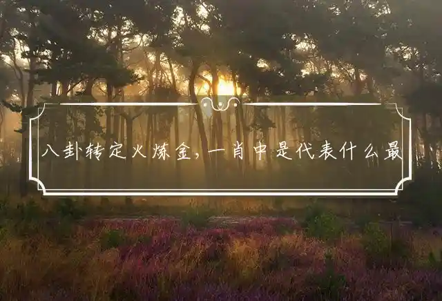 八卦转定火炼金,一肖中是什么生肖