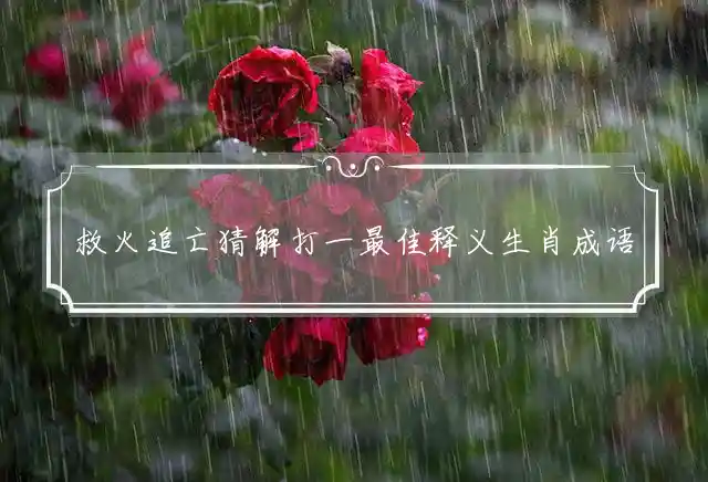 救火追亡猜解打一最佳释义生肖成语解释