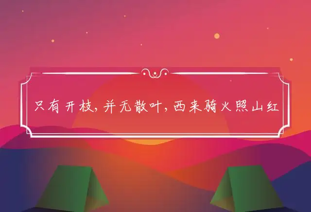 只有开枝,并无散叶,西来骑火照山红是什么生肖
