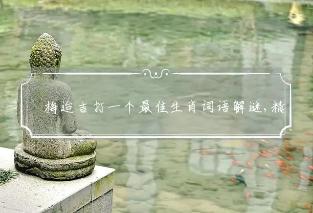 摽梅迨吉是什么生肖