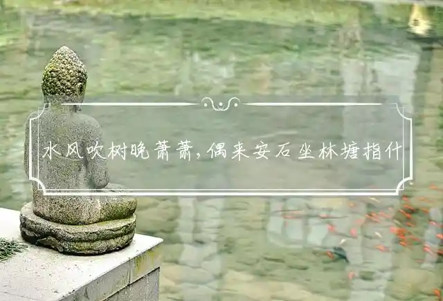 水风吹树晚萧萧,偶来安石坐林塘是什么生肖