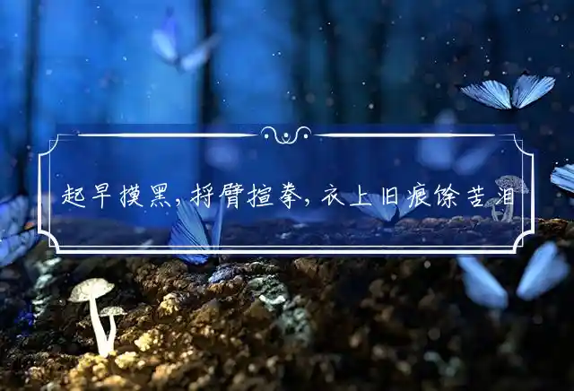 起早摸黑,捋臂揎拳,衣上旧痕馀苦泪是什么生肖