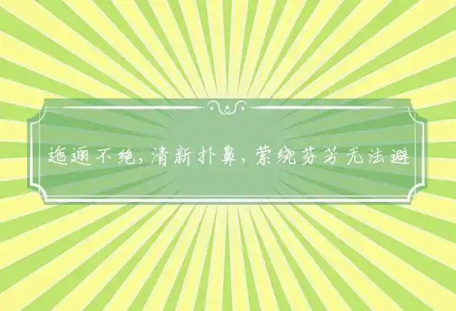 迤逦不绝,清新扑鼻,萦绕芬芳无法避是什么生肖