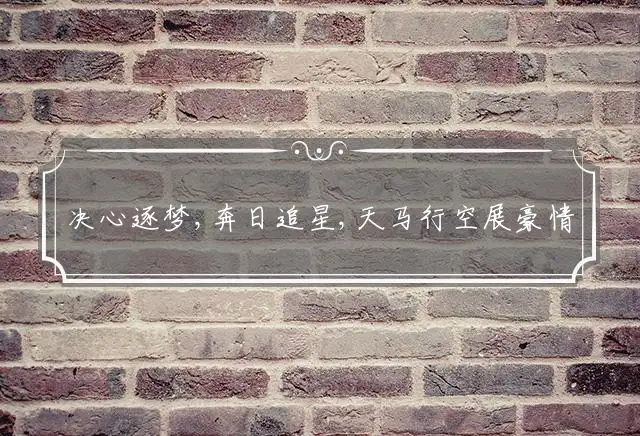 决心逐梦,奔日追星,天马行空展豪情是什么生肖