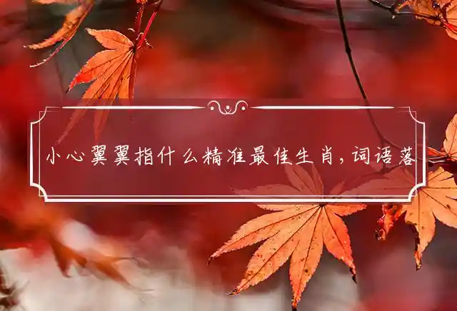 小心翼翼是什么生肖