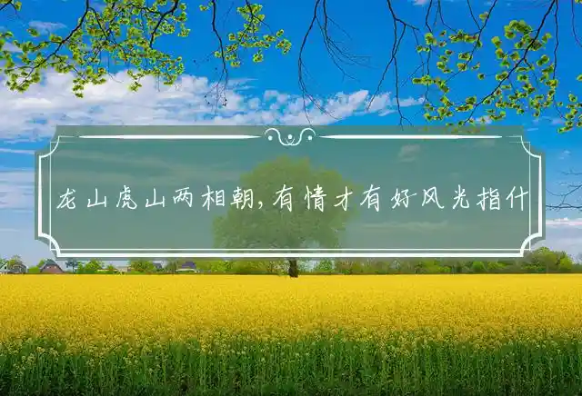 龙山虎山两相朝,有情才有好风光是什么生肖