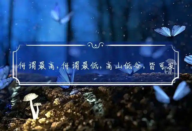 何谓最高,何谓最低,高山低谷,皆可发挥是什么生肖