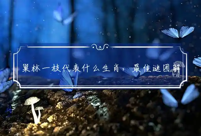 巢林一枝是什么生肖